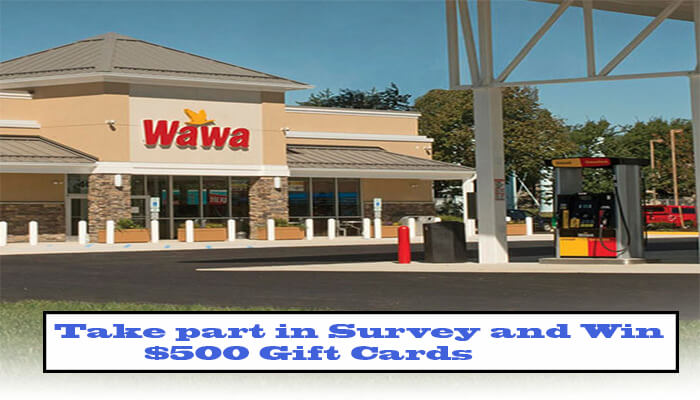 Survey 2022 Win 500 T Cards